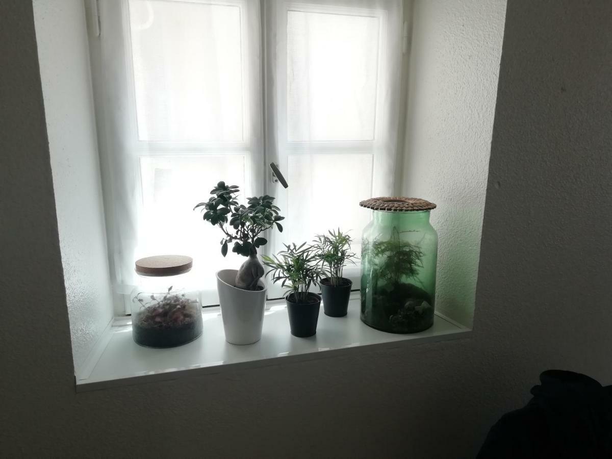 Appartement le 39 à Nîmes Extérieur photo
